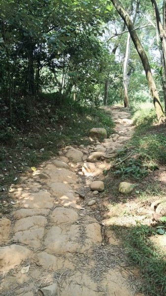 20251018 三義火炎山 南鞍古道 O型2920420