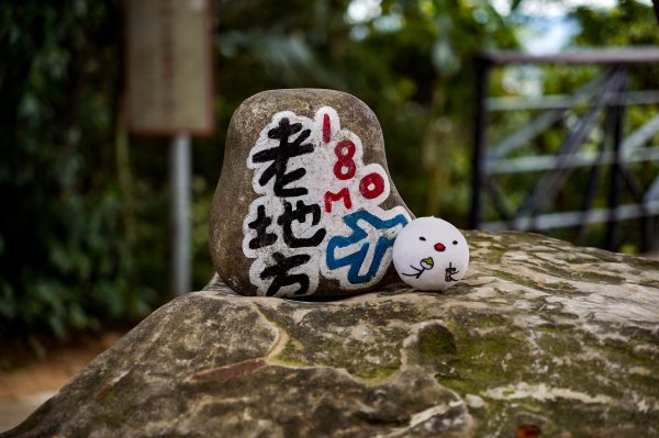 劍潭山小百岳｜老地方觀機平台