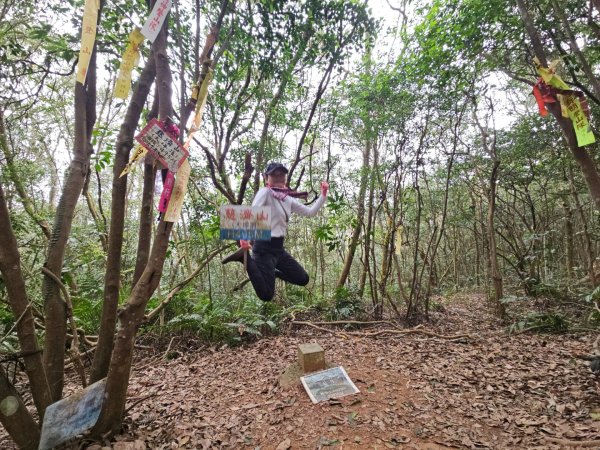 20260127三通嶺山.三義山(大桁茂山).慈濟山.大坪山大O走2989998