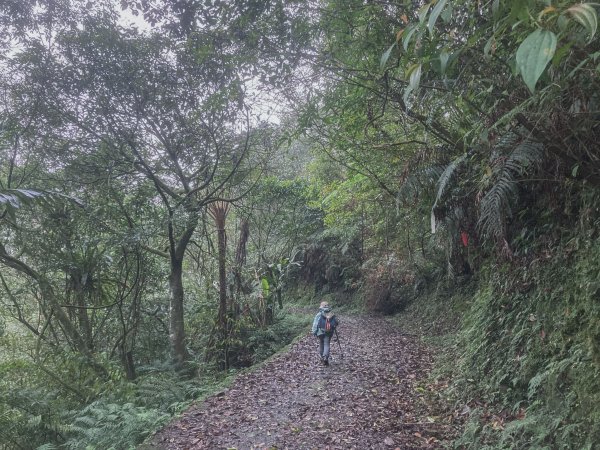 灣潭古道 & 北勢溪古道連走(淡蘭古道中路)2030103