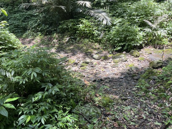 [淡蘭古道] 2025_0802 南路第四段2850944