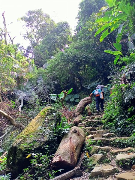 《桃園溪洲山、新溪洲山-原始幽靜、土石紛陳》【小百岳集起來】 #23 溪洲山步道(福山巖登山步道)1868558