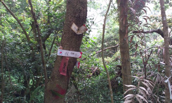 蓬萊仙島_石牛山_油井窩山O型201404301959947