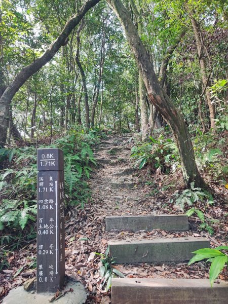 暖東峽谷步道-(基隆)臺灣百大必訪步道2249157