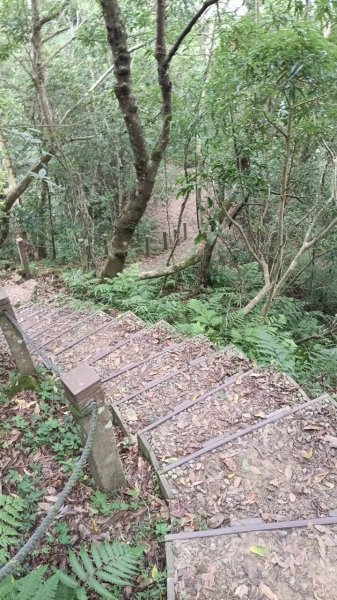 20251004 馬那邦山 - 珠湖 登山口2904765