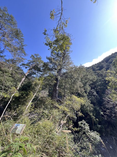 ~ 上帝的部落 - 司馬庫斯 ~3023514