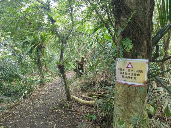 2025.02.27－月眉山2727908