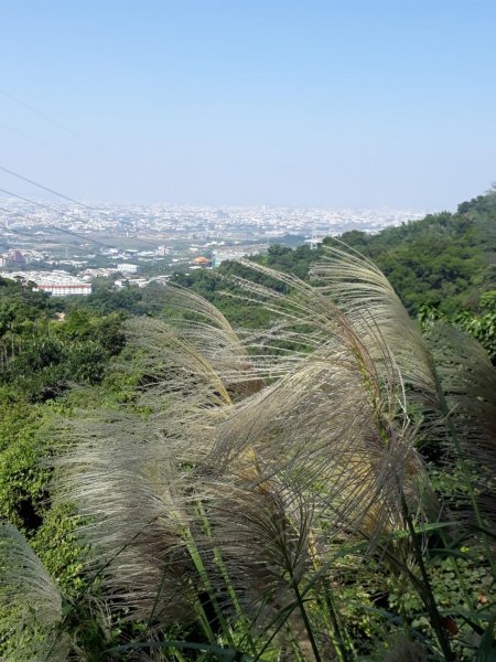 台中大坑步道7上6下20181027444591