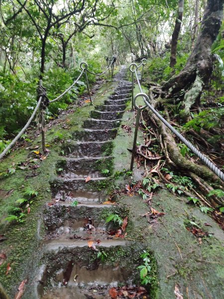 微笑山線：【五分山系】菁桐煤礦段、平溪小黃山段、望古瀑布段2841301