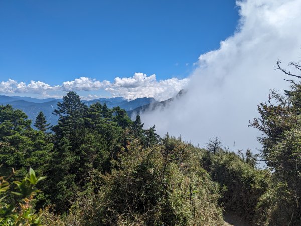 南橫三星：關山嶺山2213930