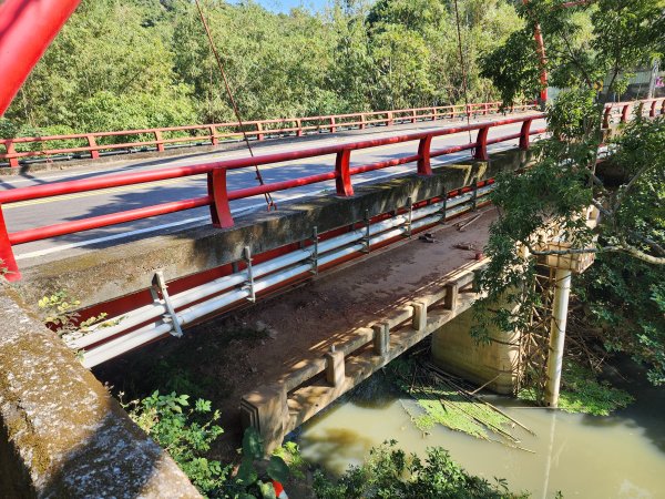 20250114石井山、榴子坑山、後脊山、龍頂山2728587