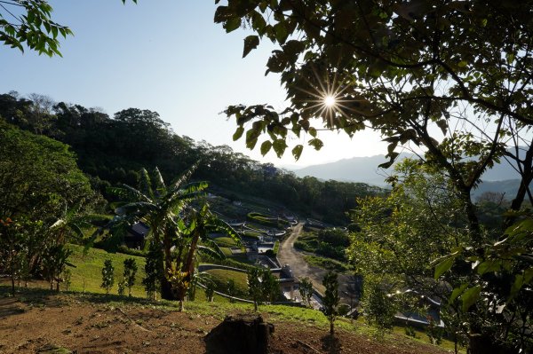 新北-桃園 娘子坑山、烏塗窟山、五十分山2427193