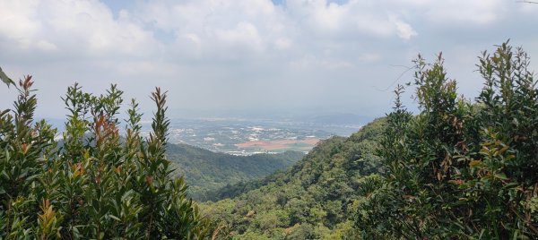 頭嵙山、聚興山3123085