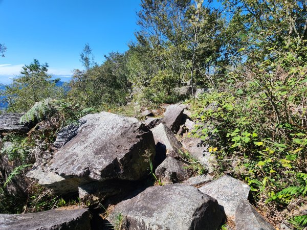 20241013東南稜上東卯山2670991