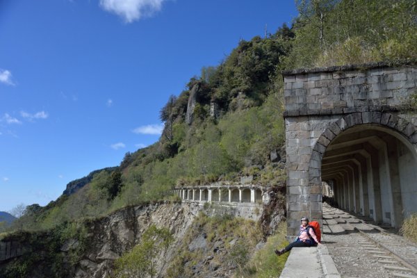 阿里山眠月線20211229-301618034