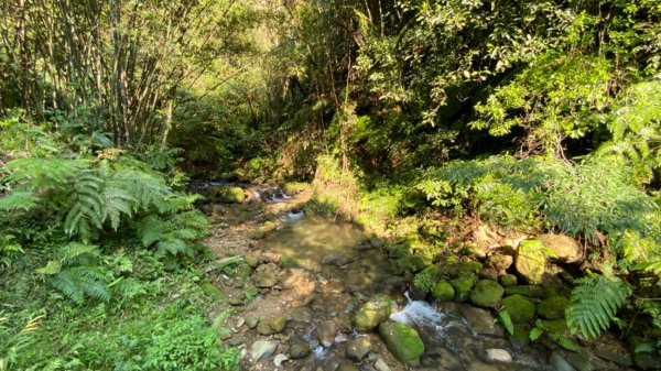 松柏崎保甲路+紙寮坑古道+雞冠山772375