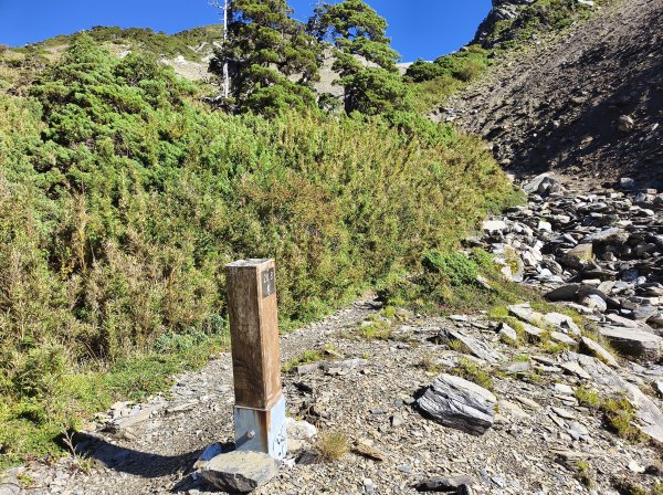 北一段(11/14)南湖北峰 2025_0906~132887238