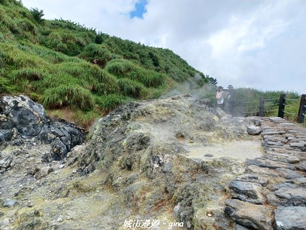 【台北北投】搭捷運公車爬山趣。 小百岳集起來。編號2小百岳~七星山步道1766577