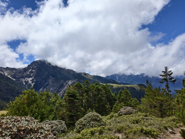 北一段(13/14)審馬陣山 2025_0906~132887534