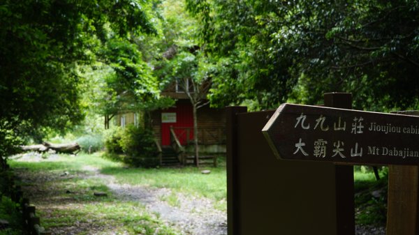 大鹿林道東線/騎乘登山車1722296