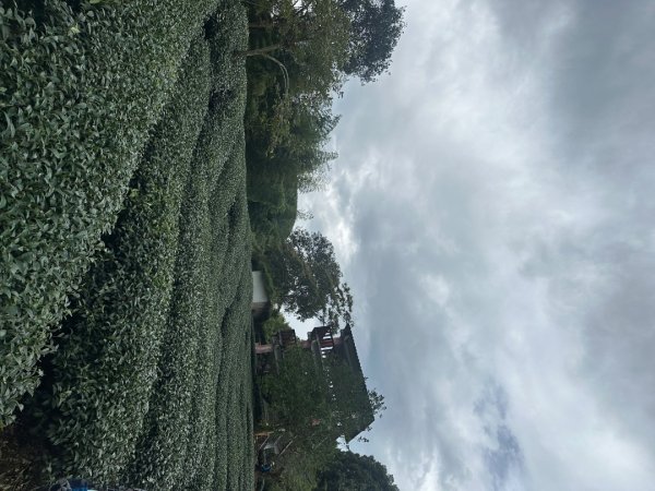 南投小半天七連峰3094610