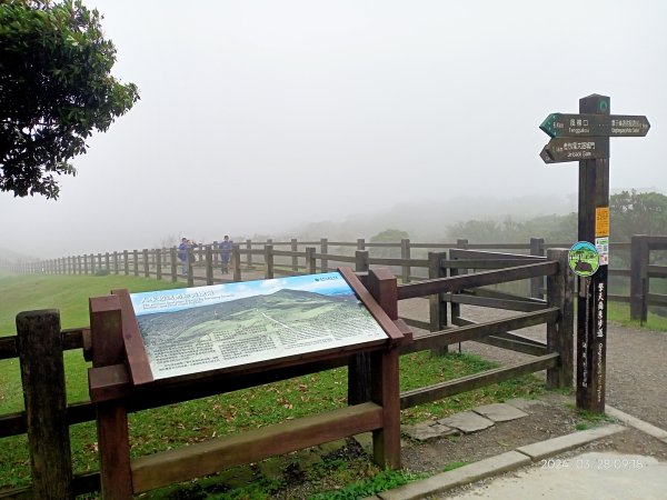 【臺北大縱走 3】擎天崗→石梯嶺→頂山→風櫃嘴2468729