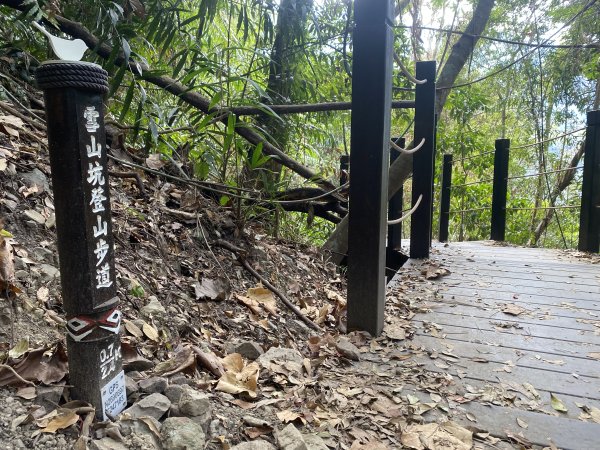 《雪山坑登山步道｜巨人之手森林秘境 Xueshankeng Hiking Trail & Giant2971102