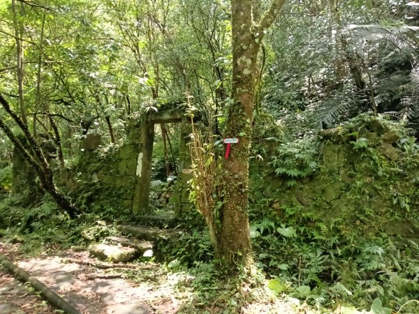 雙溪區崩山坑古道+下坑山稜線越嶺路+下坑山O型