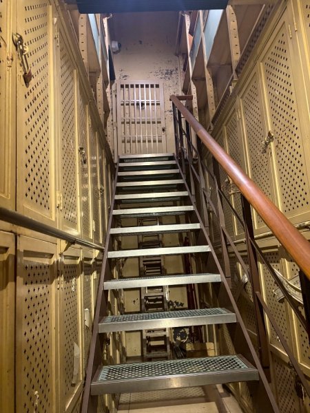 雨天備案💙 台灣博物館的古生代館-台大動植物館免費參觀-北投♨️季2799046