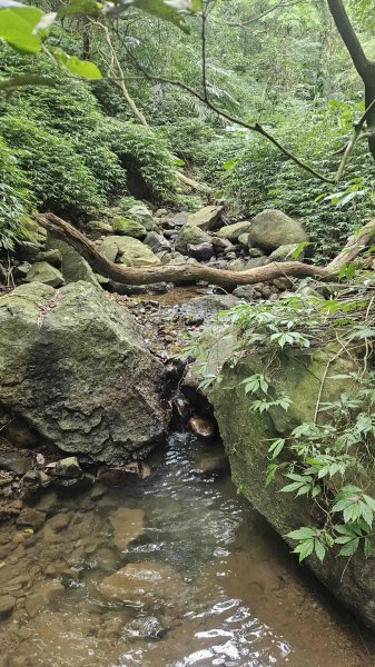 20250715玉田古道-八斗坑內古道2837733