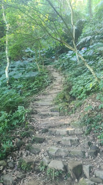 2026-0114溪州山小百岳2984874