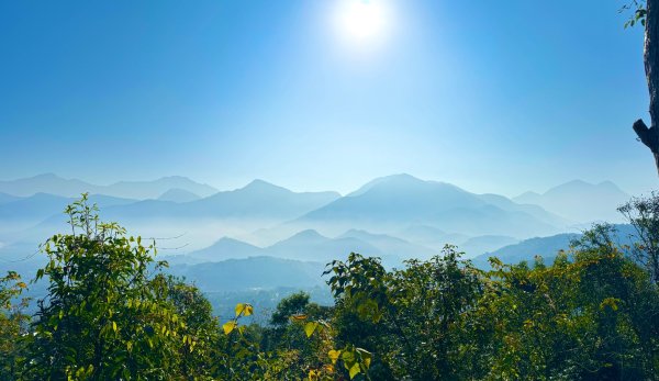 金龍山看山嵐風情2679516