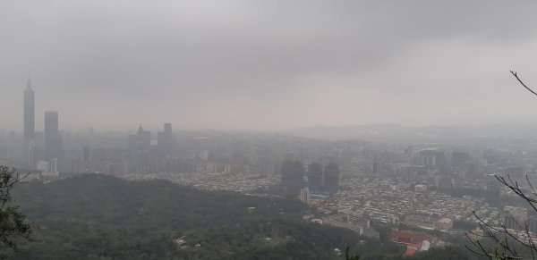 麗山橋步道1865321