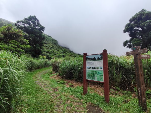 大屯主峰二子坪O型縱走2511231