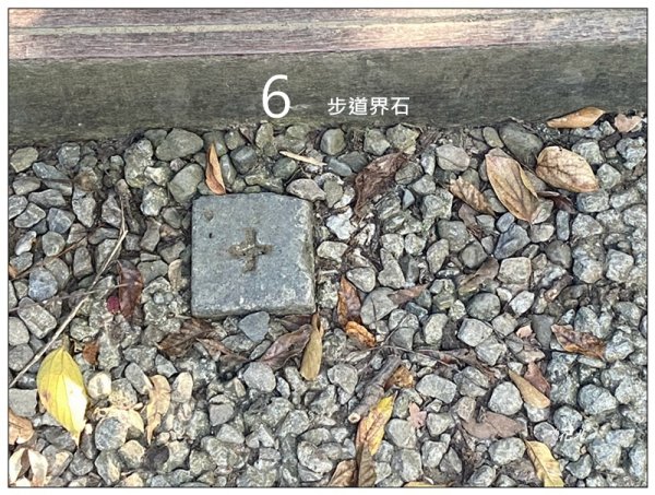 軍功寮山、大坑9、7、6、9-1步道 O型一圈2950800