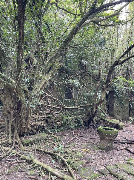 雪山尾稜北段2728641