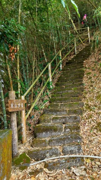 大湖尖山-原路來回1267751