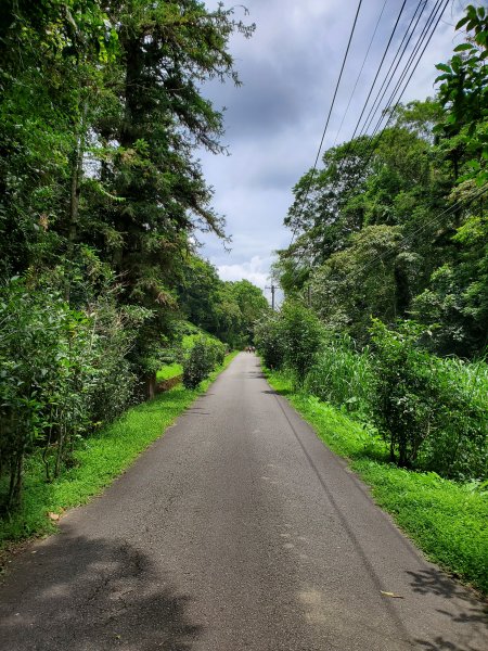 【南投|貓囒山】1049746