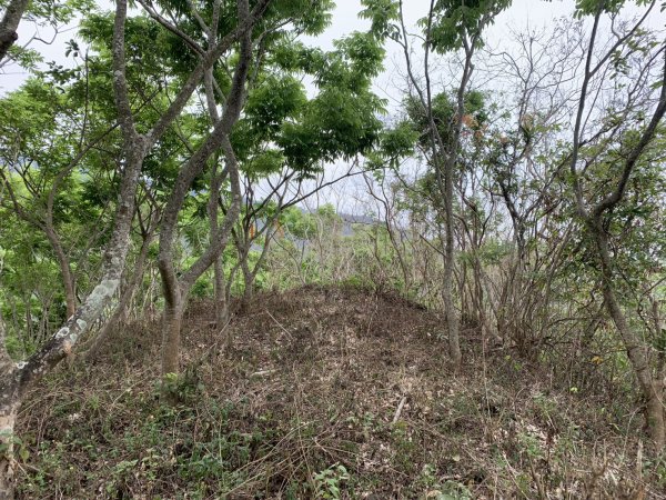 20250405屏東內南世山-西霧里乙山2757793