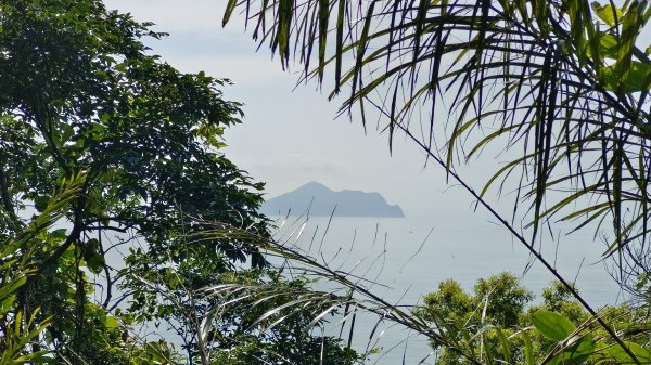 (姨婆趴趴走)第四十九集:攀登連走宜蘭梗枋山、橋板湖山2747719