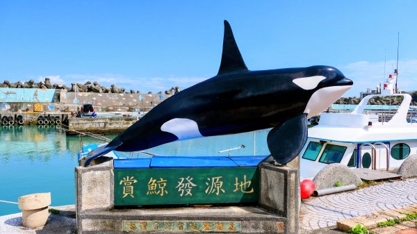 洄瀾東海岸3006712