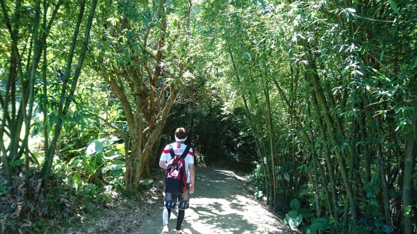 福隆．遠望坑．草嶺古道．桃源谷．大溪49573