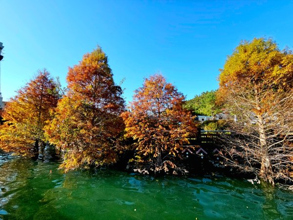 日月潭環湖步道