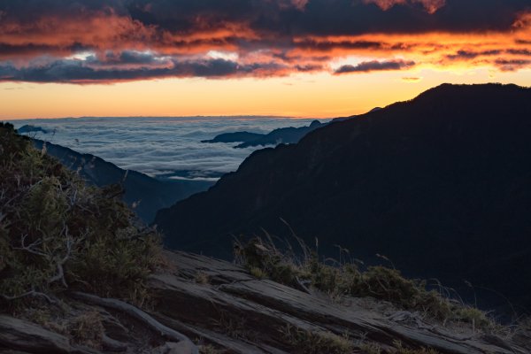 合歡北峰-圓柏的視野466842