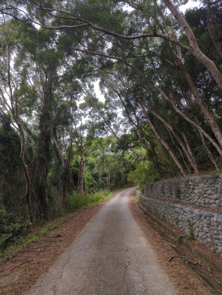 2025.02.28－巴塱衛山2728090