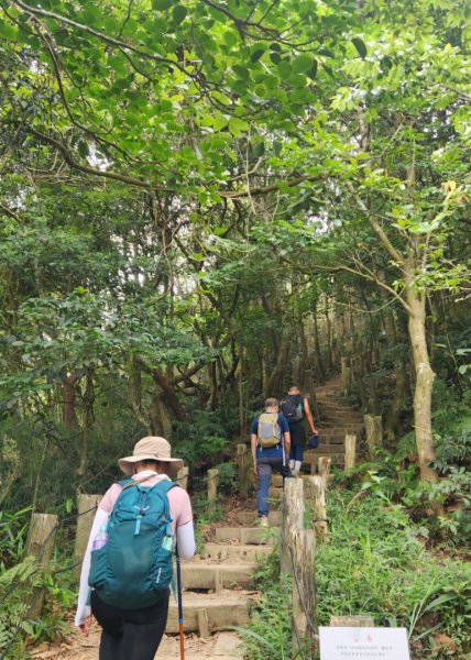 【中級山】台南第一高峰，關子嶺大凍山2741138