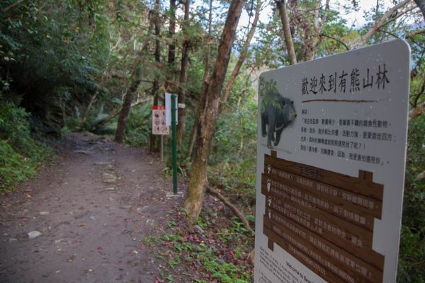 【花蓮】瓦拉米步道春遊823365