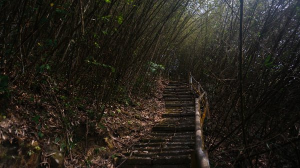 大湖尖山 鳳凰瀑布 紫雲寺1288679