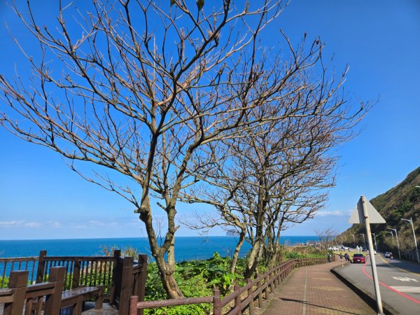 外木山濱海大道2702085