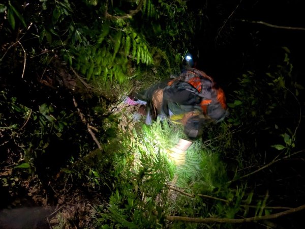 桂山路197巷 》呂奔山北峰 》呂奔山 》阿玉壩2755834